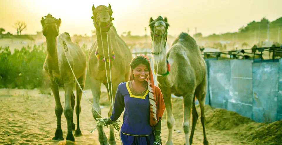 Visit India Camel Beauty Contest with TravelLocal