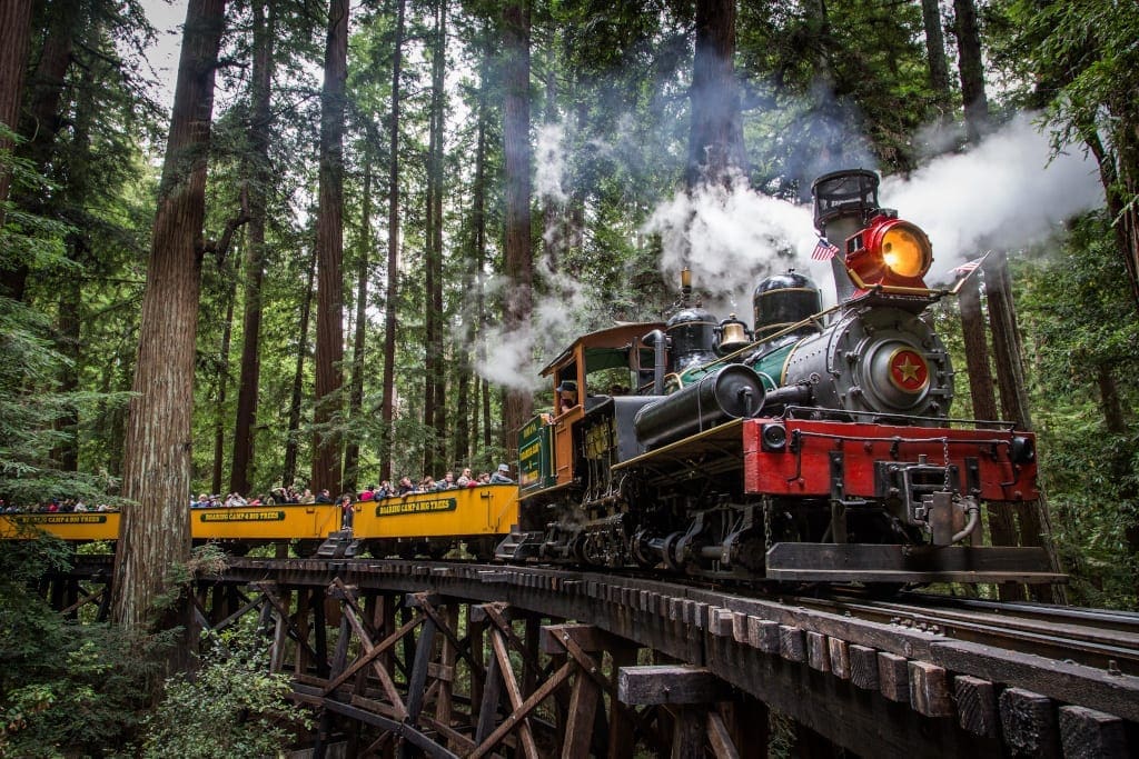 Santa Cruz Roaring Camp Train on Bridge - Walter Scriptunas