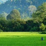 Nong Khiaw