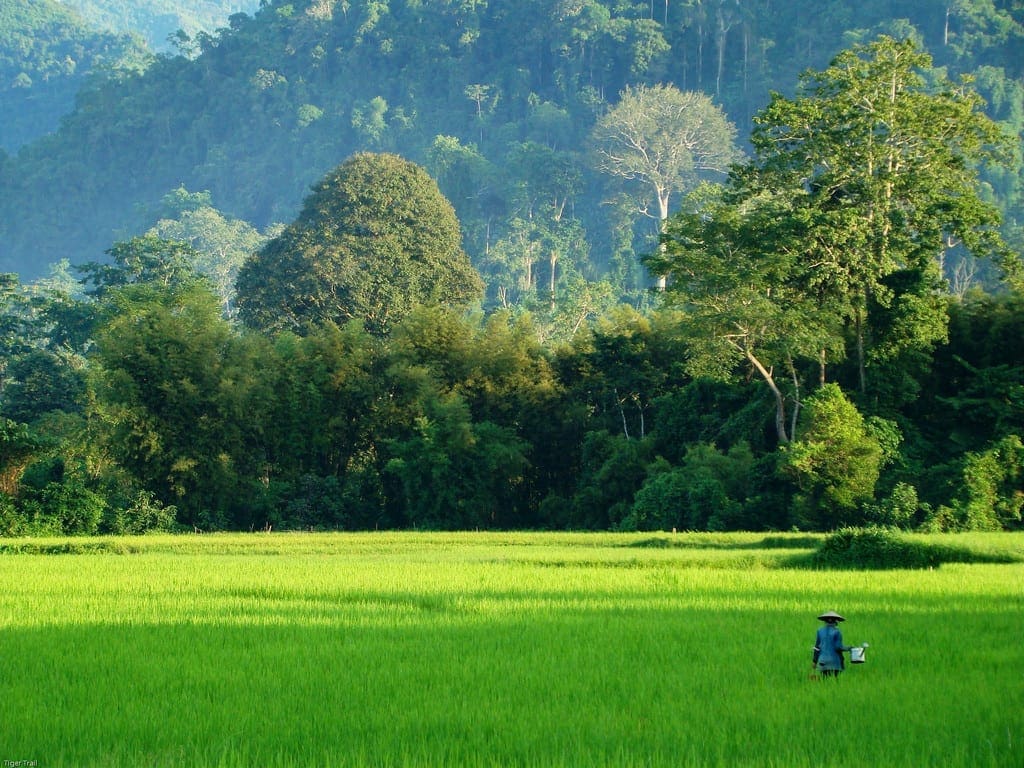 Nong Khiaw