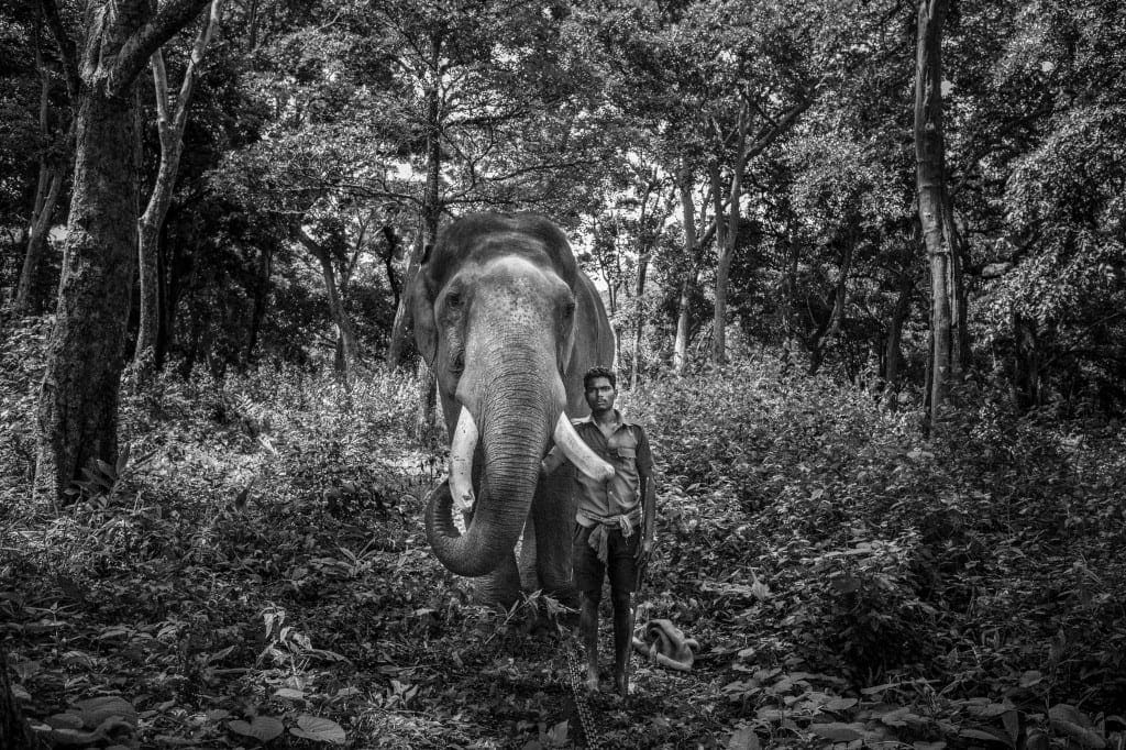 Angkor Photo Festival