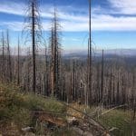 Yosemite Park Tuolumne County
