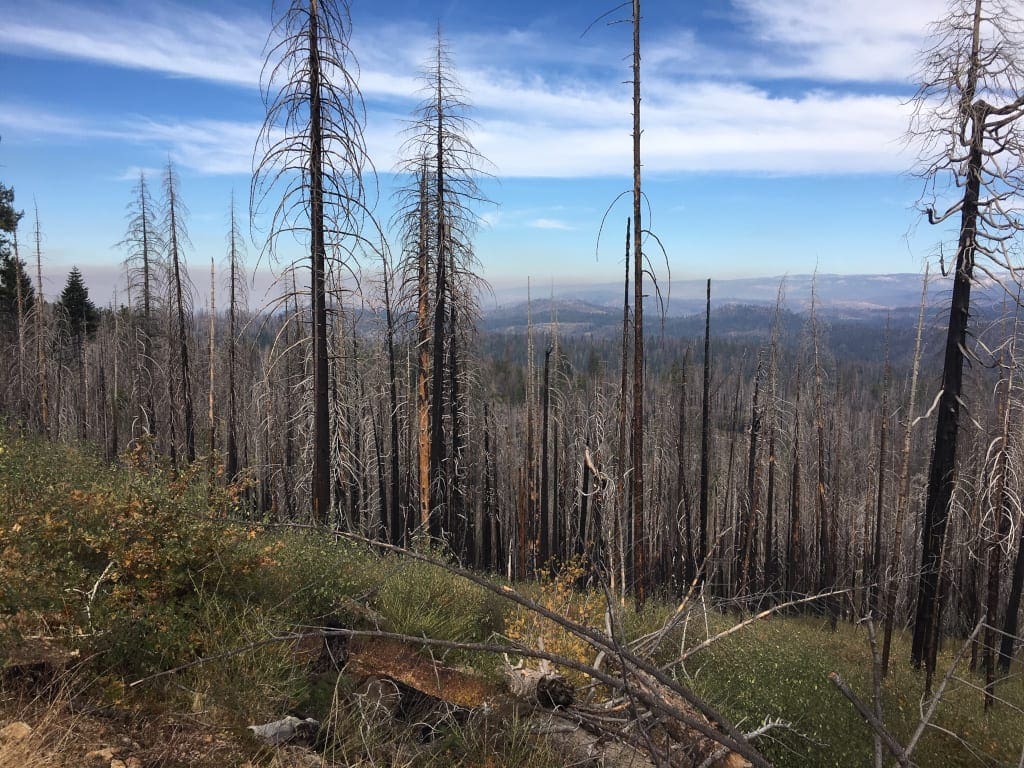 Yosemite Park Tuolumne County