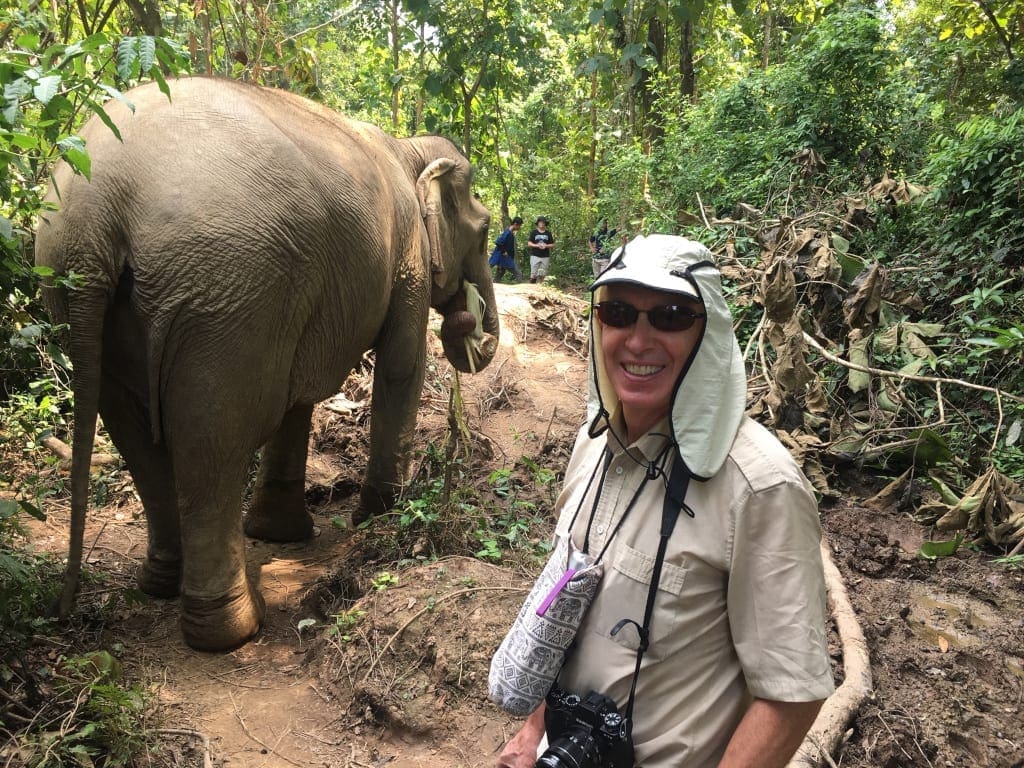 Walking with Elephants Mandalao