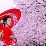 Cherry Blossom Season Japan 2023