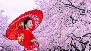 Japan Cherry Blossom Festival