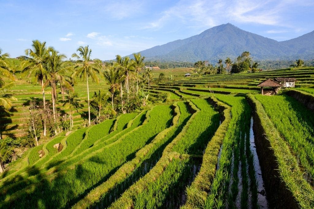 Indonesia Bali