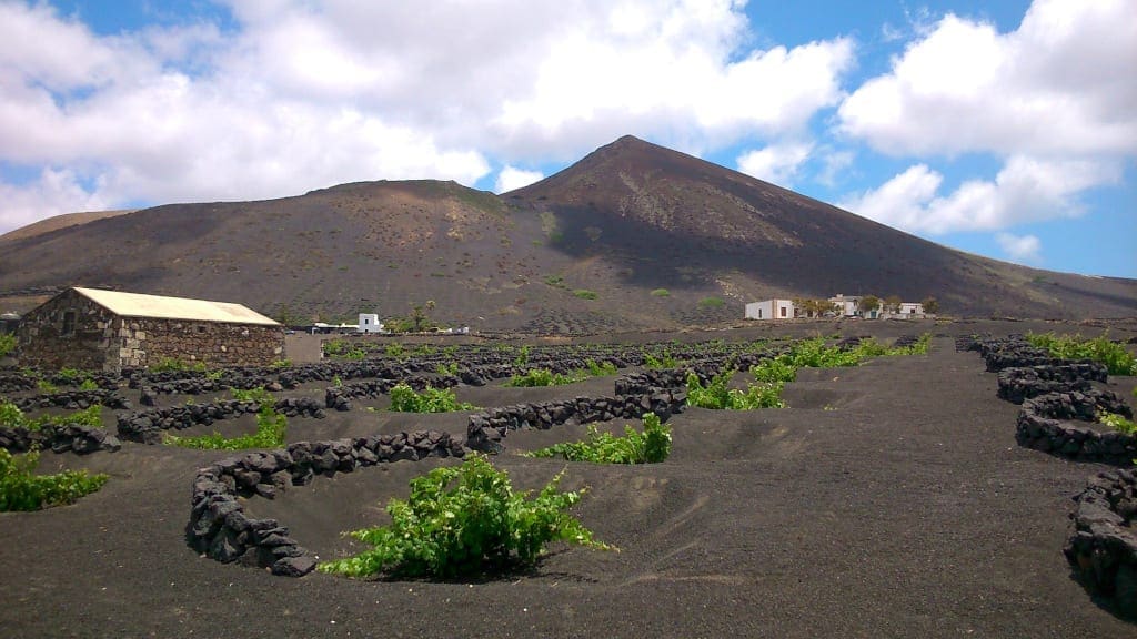 La Geria Vineyards walking in lanzarote, photo c. Blackstone Trek & Tours