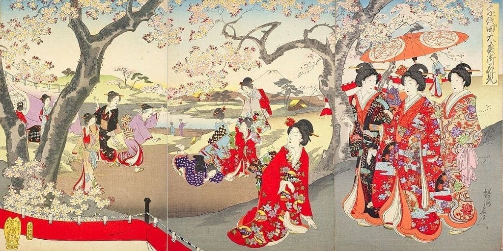 Cherry Blossom Japan
