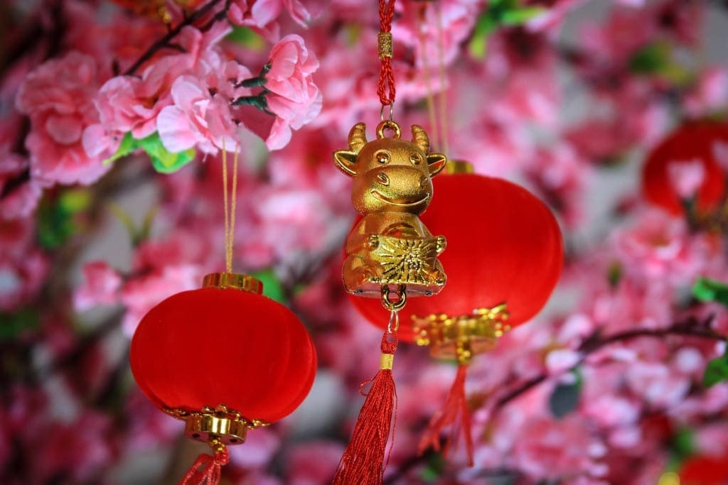Year of the Ox