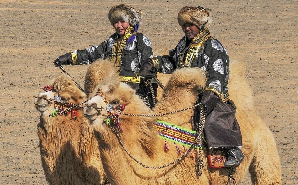 Camel Festival Mongolia