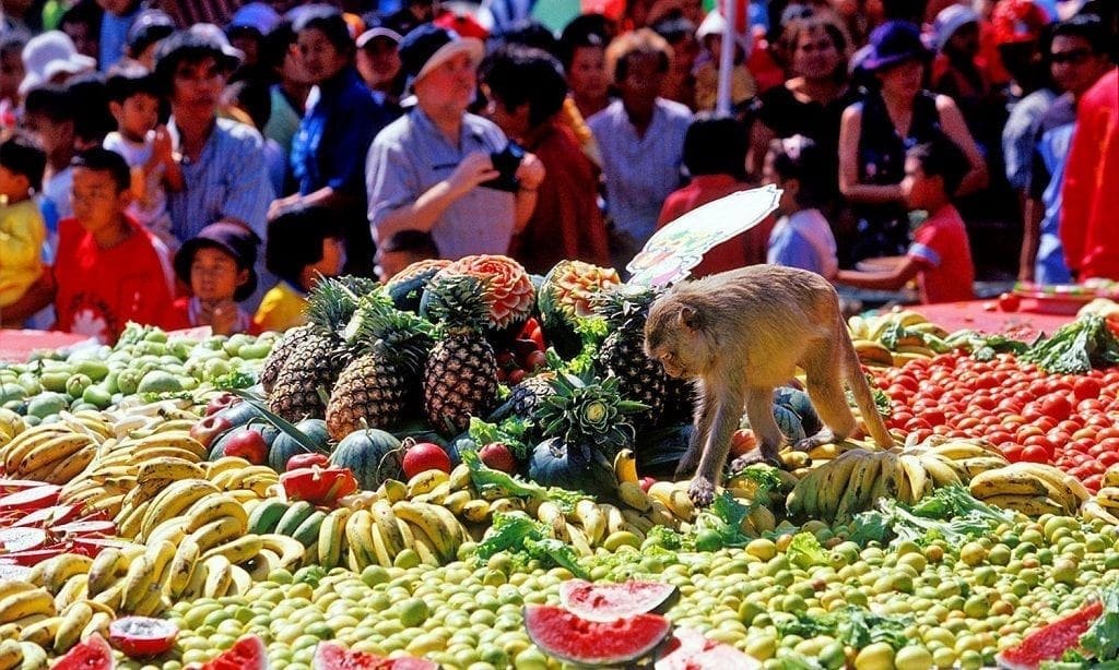 Monkey Buffet Festival, Lopburi, Thailand 2023 Travel Begins at 40