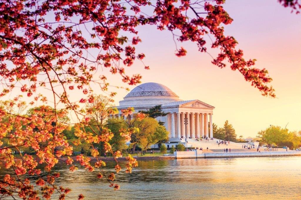 Flowers in the US: Washington DC, Jefferson Memorial Cherry Blossoms