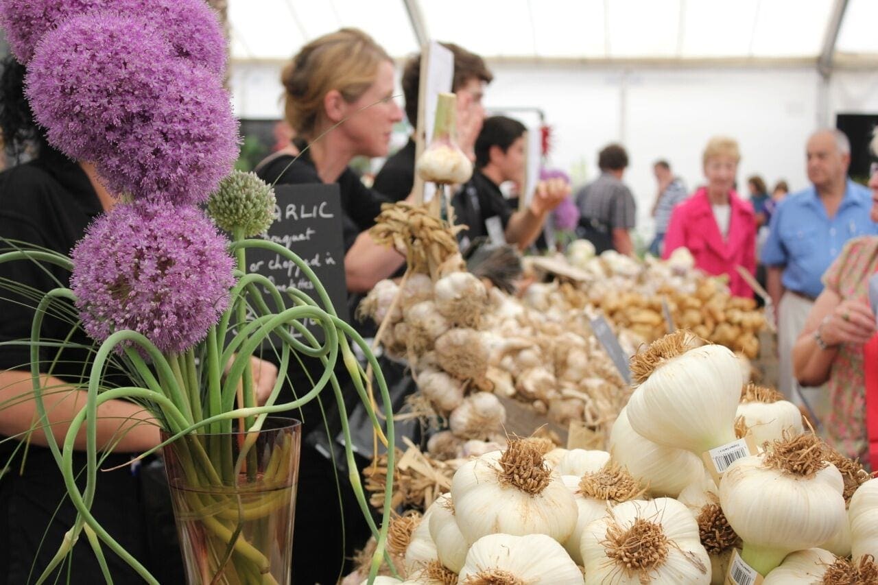 Festivals in UK Isle of Wight Garlic Festival (2)