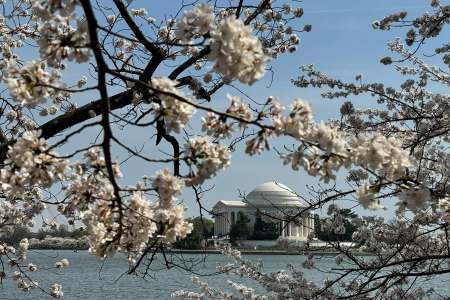 National Cherry Blossom Festival, Washington DC