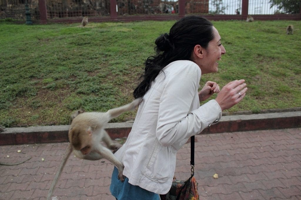 Monkey Buffet Festival Thailand
