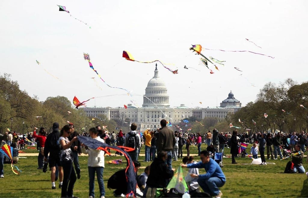 National Cherry Blossom Festival