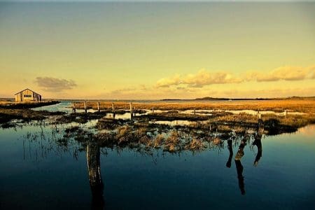 Slow Wight Digital Travel Guide