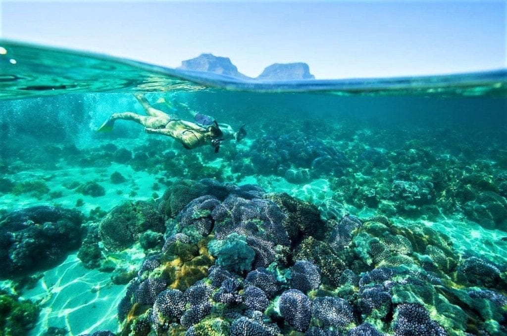 Snorkelling, Lord Howe Island 2