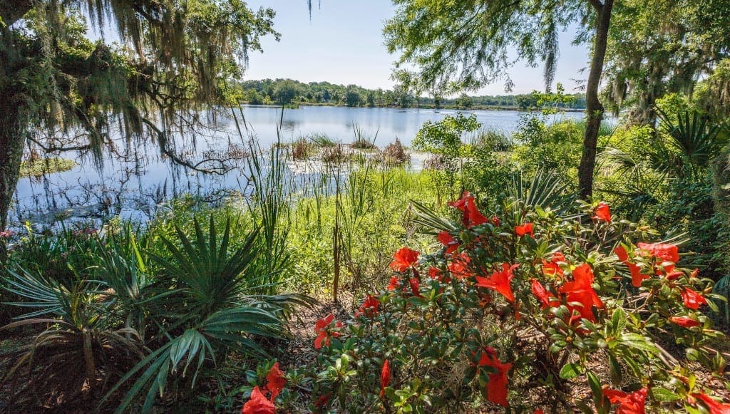 Magnolia Plantation, Charleston