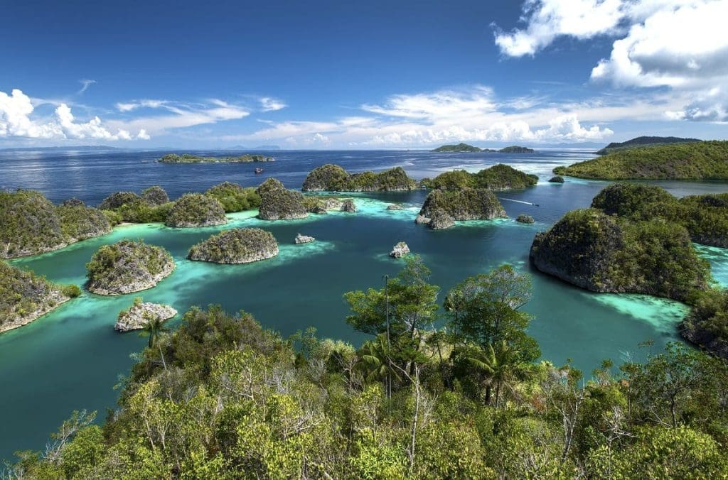 Painemo Raja Ampat West Papua