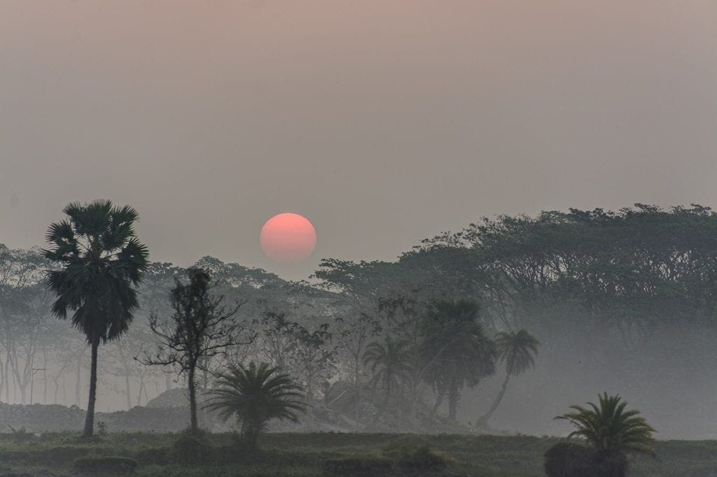 Sundarbans Mangrove Forest, Bangladesh