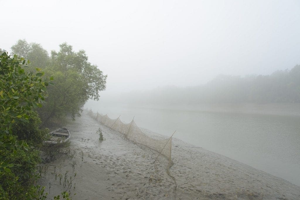 Sundarbans Mangrove Forest, Bangladesh