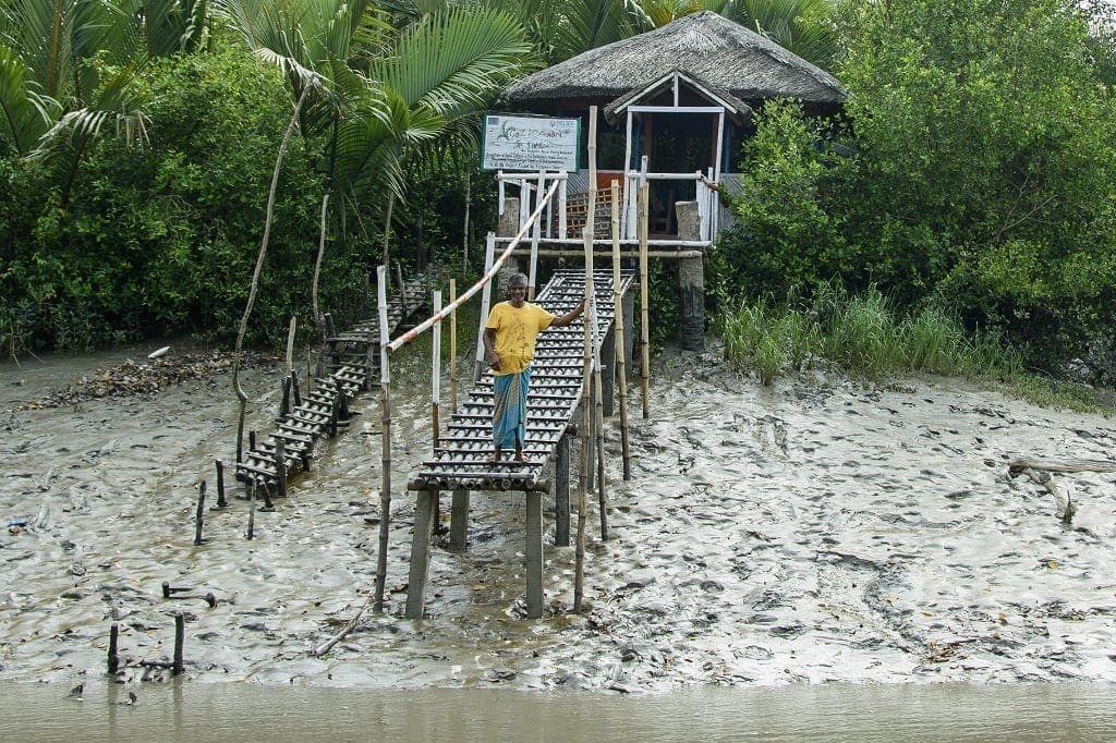 Sundarbans Mangrove Forest, Bangladesh