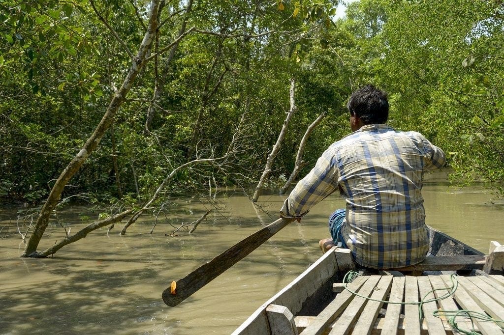 Sundarbans Mangrove Forest, Bangladesh