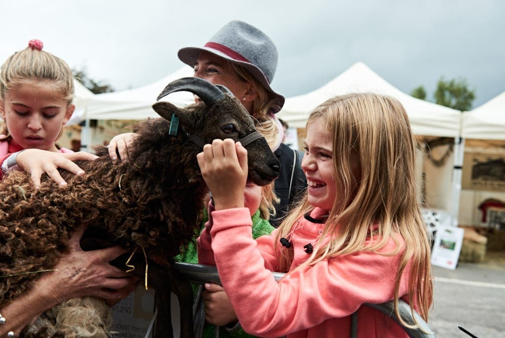 Fun at The Farmyard