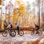 8 Trails to Hike, Bike and Run in Raleigh