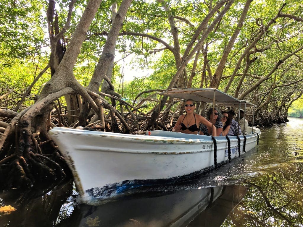 Boat trip amid the mangroves in Roatan Honduras