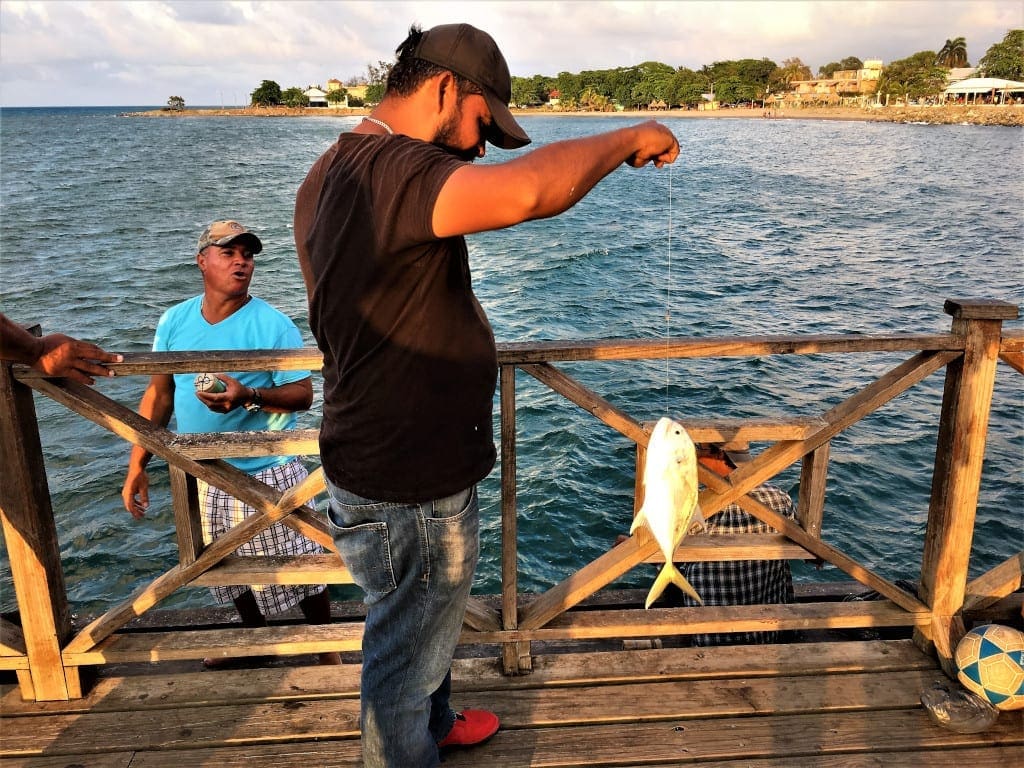 Catching supper at La Ceiba pier