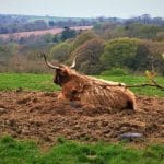 Cornwall Holidays
