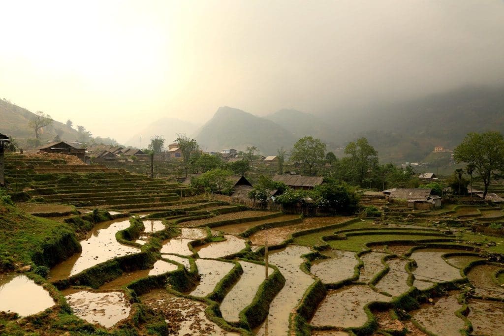 Rice terraces in Sapa