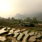 Rice terraces in Sapa