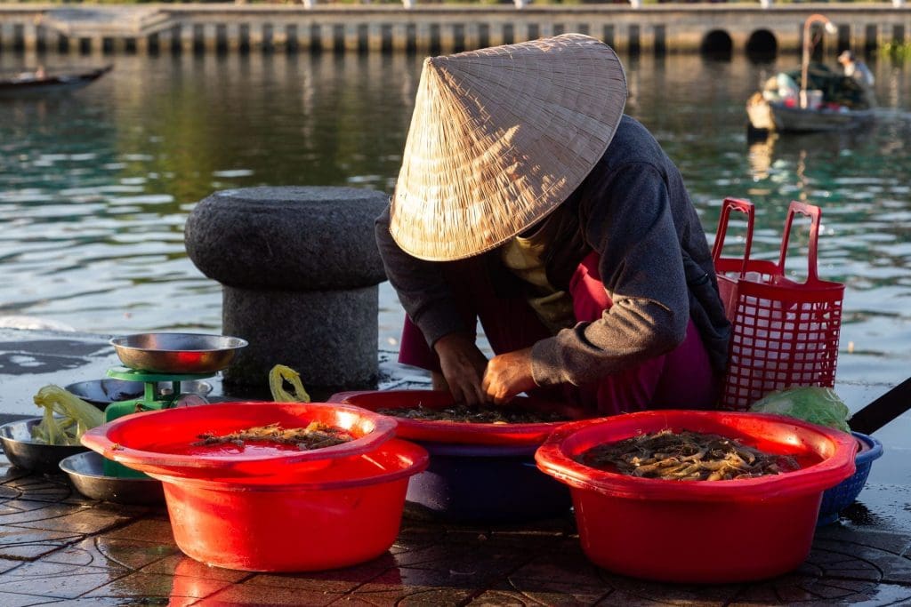 Freshly unloaded seafood at Hoi An market