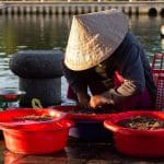 Freshly unloaded seafood at Hoi An market