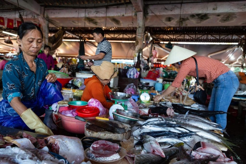 Freshly unloaded seafood at Hoi An market