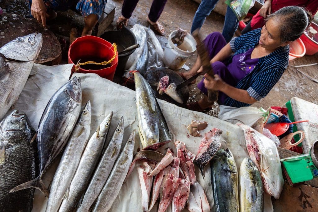 Fish at the wet market