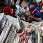 Fish at the wet market