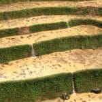 Rice terraces in Sapa