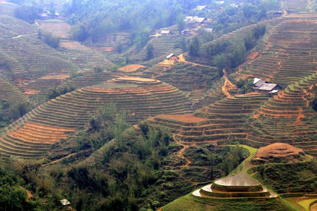 Rice terraces in Sapa