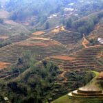 Rice terraces in Sapa