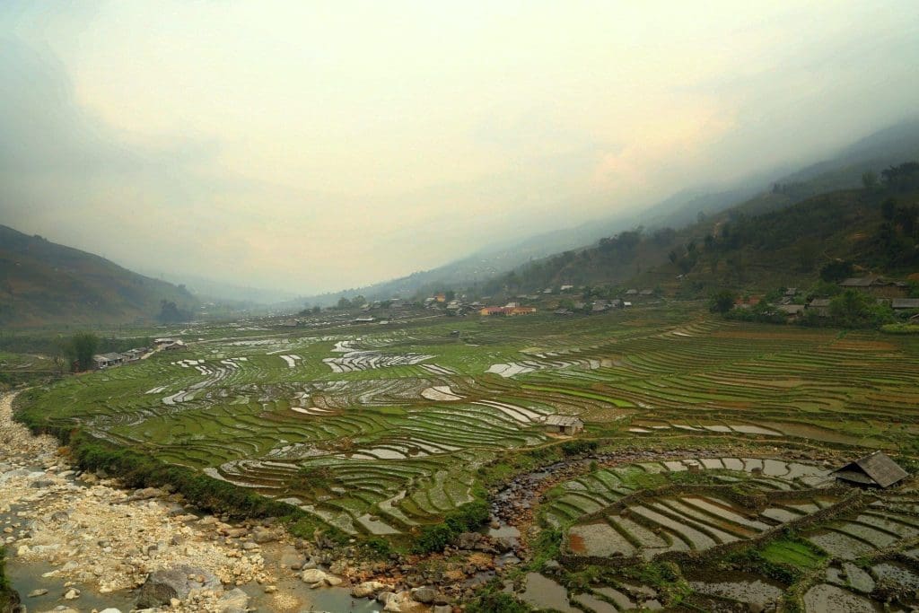 Rice terraces in Sapa