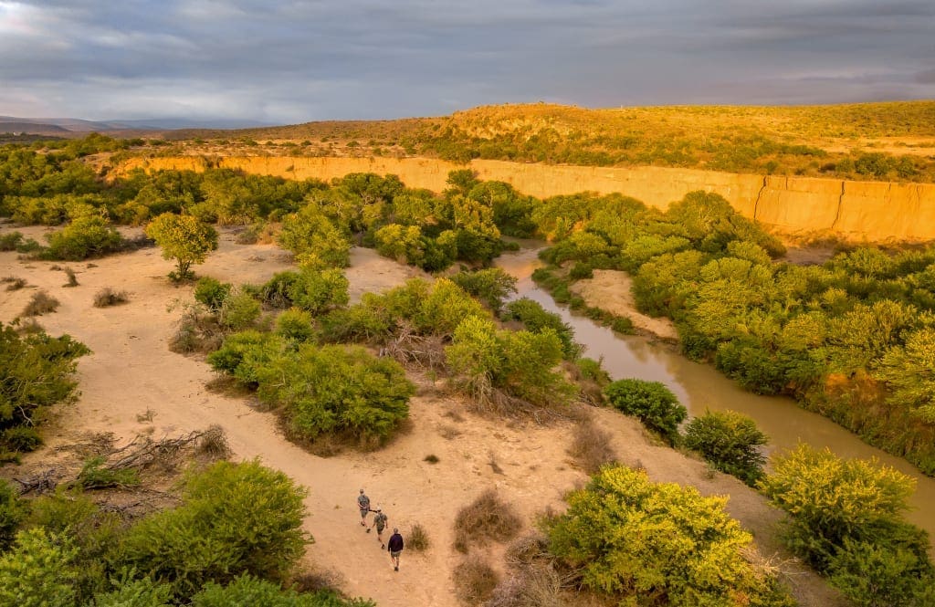 Kwandwe - Walking Safaris