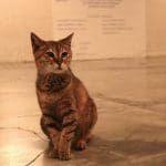 Istanbul City Break