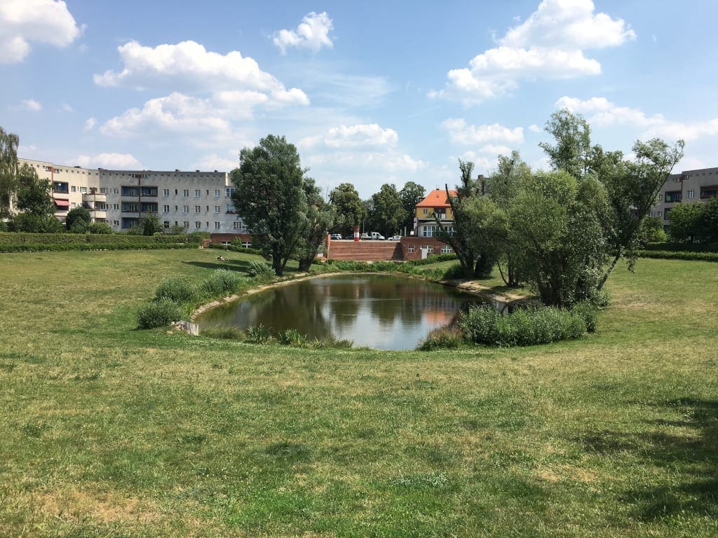 Hufeisensiedlung gardens