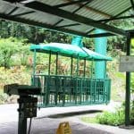 Things to Do in St Lucia