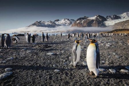 Join Chris Bonnington on an Antarctic Odyssey